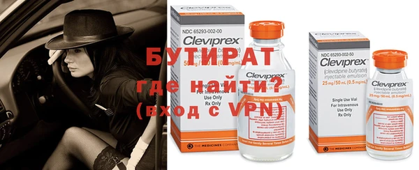 дмт Гусев