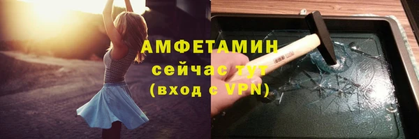 дмт Гусев