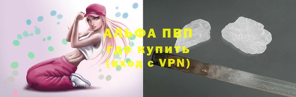 дмт Гусев