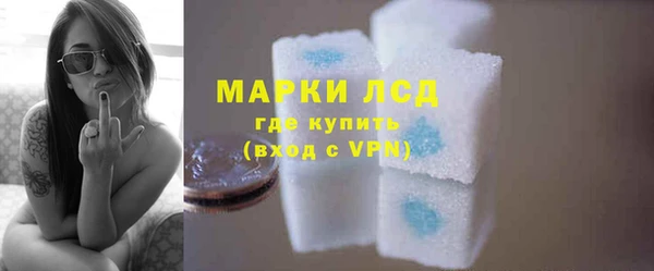дмт Гусев