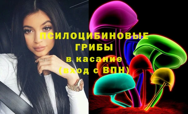 винт Гусиноозёрск