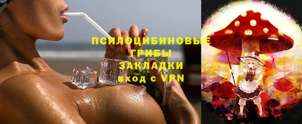 дмт Гусев
