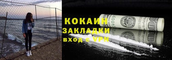 дмт Гусев