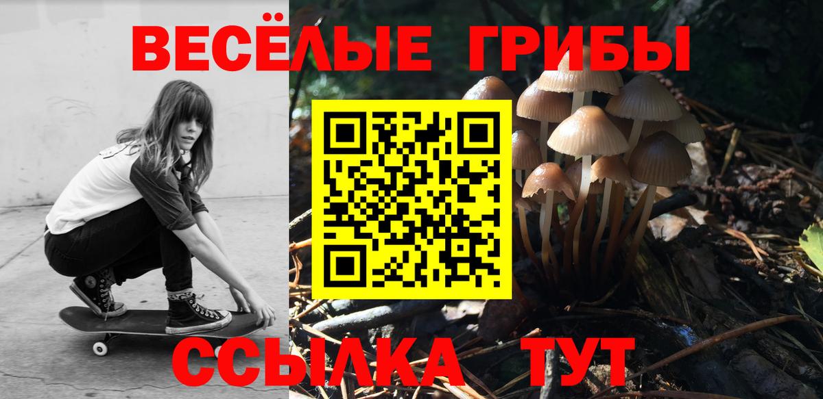Галлюциногенные грибы Psilocybe Нурлат