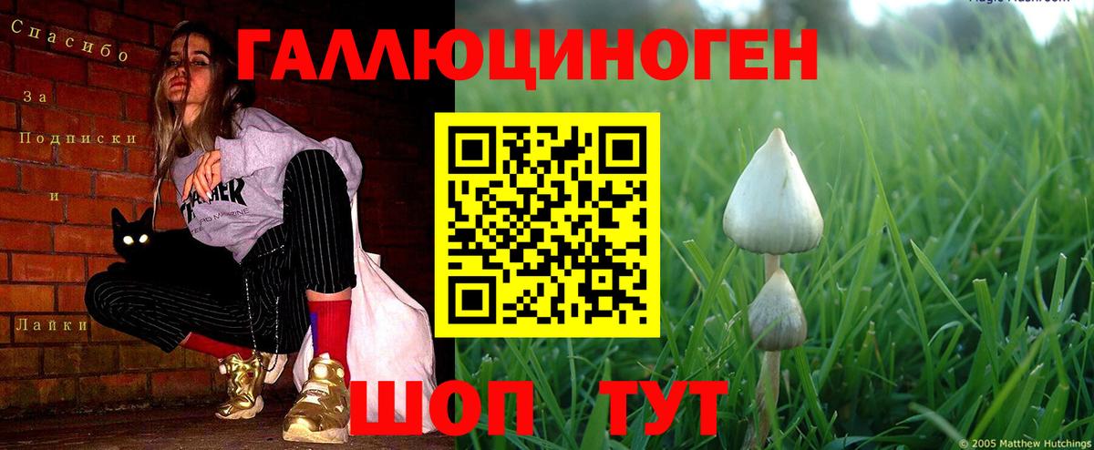 Нурлат  ГАШ  Сколько стоит  Героин  A PVP СК   МЕФ кристаллы  Вход с VPN  Марихуана 