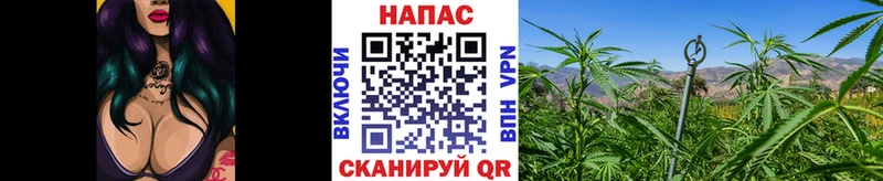 Конопля OG Kush купить Нурлат